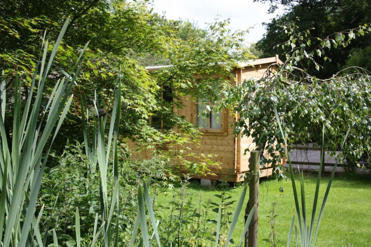 Owl Lodge Cowling Экстерьер фото