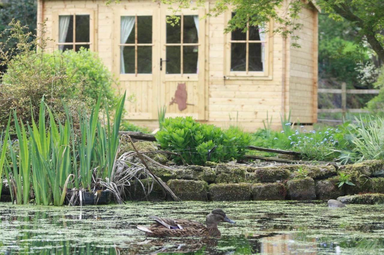 Owl Lodge Cowling Экстерьер фото